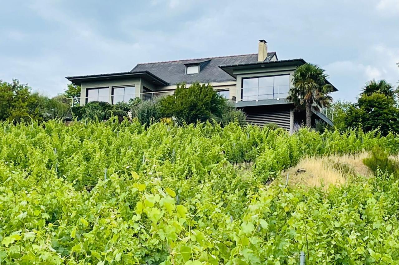 Maison Des Coteaux Blancs Chaudefonds-sur-Layon Exterior foto